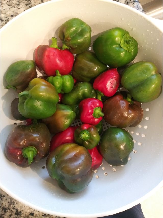 How to Use A Lot Of Green Peppers